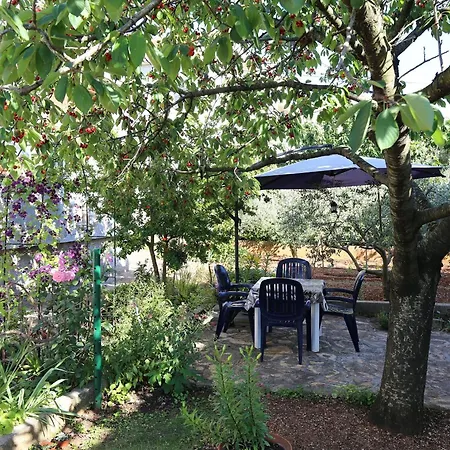 Ruhiges Mit Terrasse In Strandnaehe