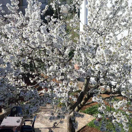 Ruhiges Mit Terrasse In Strandnaehe Apartamento